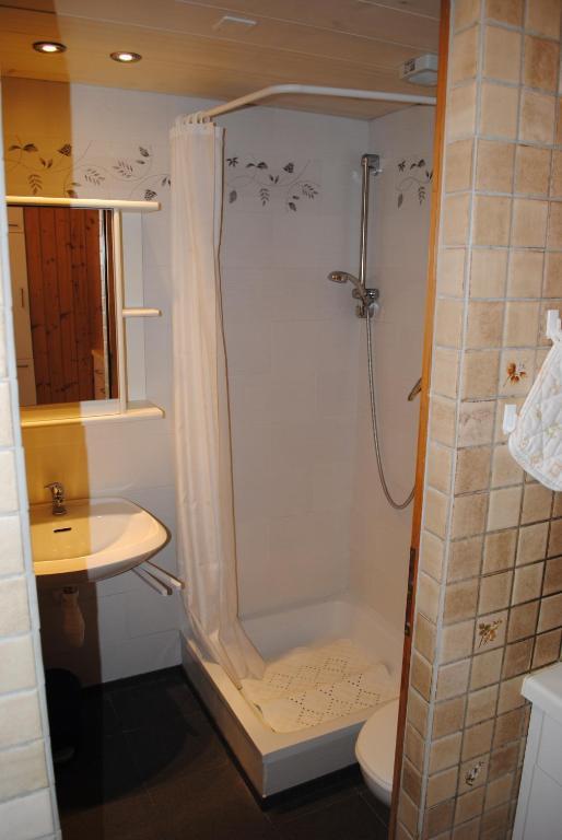 Ferienwohnung Studio Glaus Wilderswil Zimmer foto